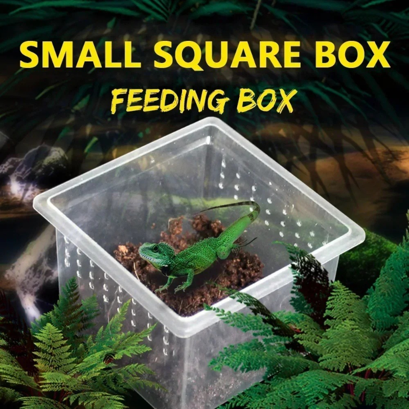 Lab Incubator - 10 Feeding Box Reptile Cages Incubation