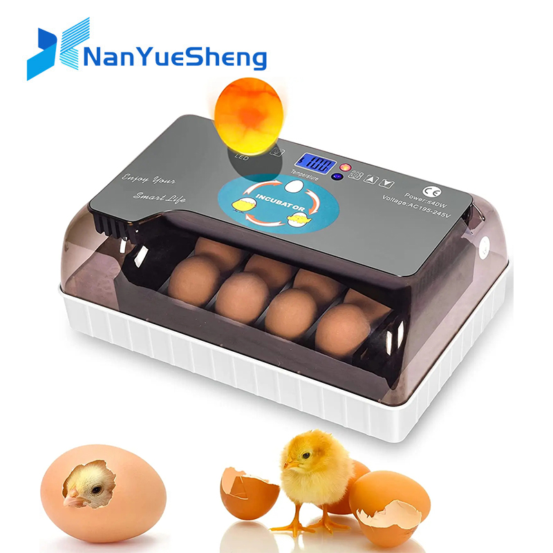 Lab Incubator - Automatic HHD Best Digital 12 Chick