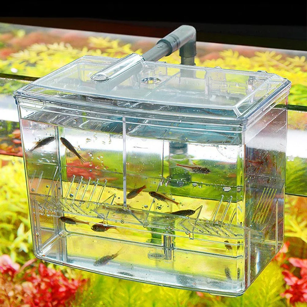 Aquarium Fish Breeding Box for – обзор и цена Lab Incubator