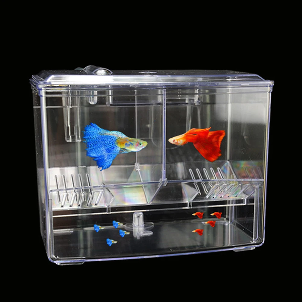 Aquarium Fish Breeding Box for – обзор и цена Lab Incubator