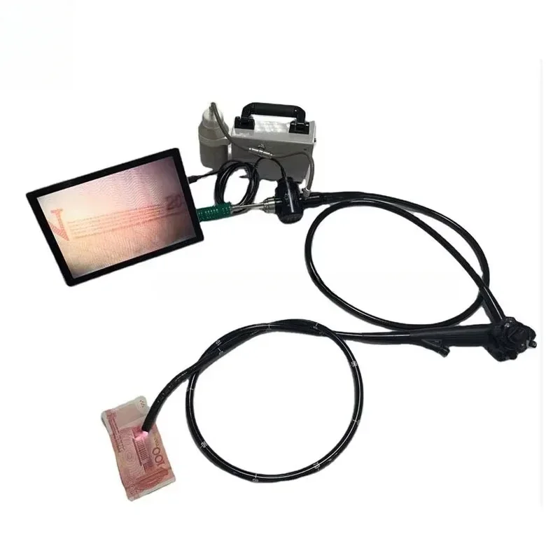 Veterinary Video Endoscope for – обзор и цена Medical Lab Video