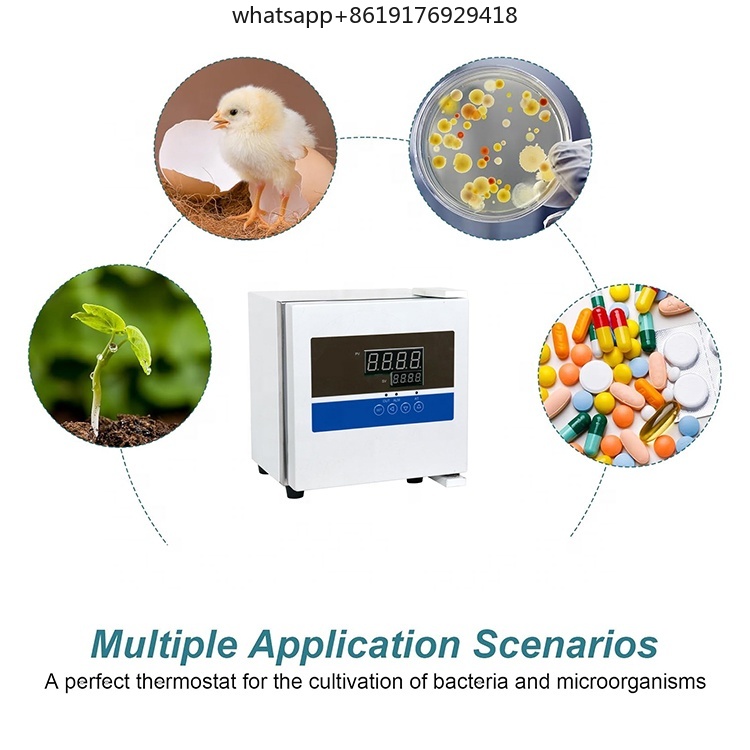 Laboratory 2L Mini Thermostat  – обзор и цена Lab Incubator