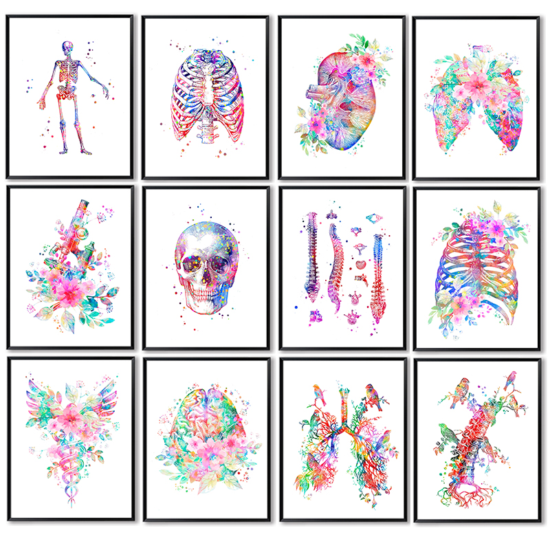 Anatomy Medical Poster Flower  – обзор и цена Medical Lab Posters