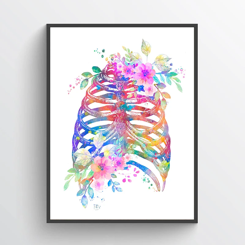Anatomy Medical Poster Flower  – обзор и цена Medical Lab Posters