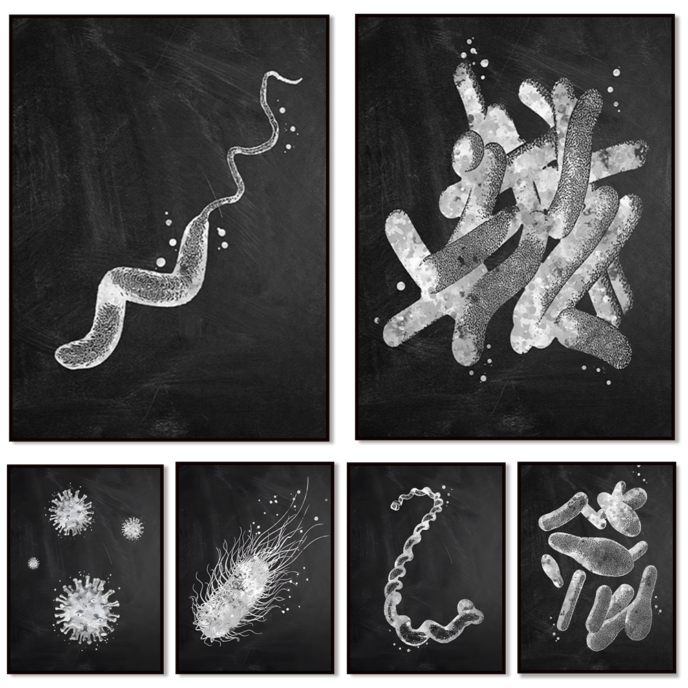 Bacteria Types Poster Microbio – обзор и цена Medical Lab Posters