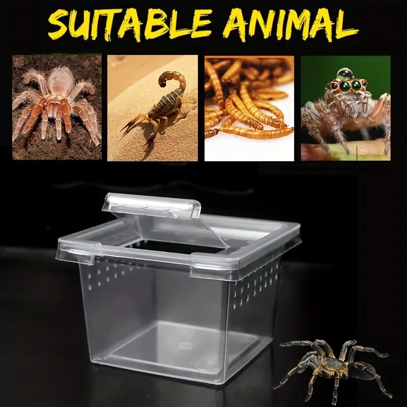 10 Feeding Box Reptile Cages I – обзор и цена Lab Incubator