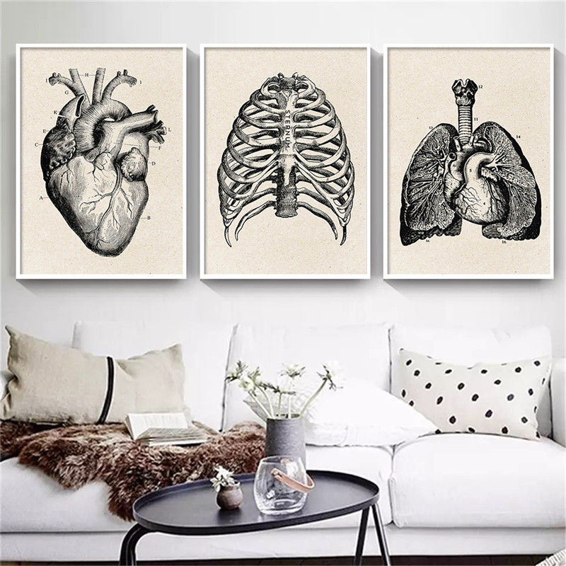 Medical Anatomy Artwork Canvas – обзор и цена Medical Lab Posters