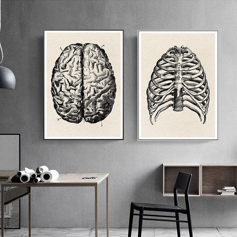 Medical Anatomy Artwork Canvas – обзор и цена Medical Lab Posters
