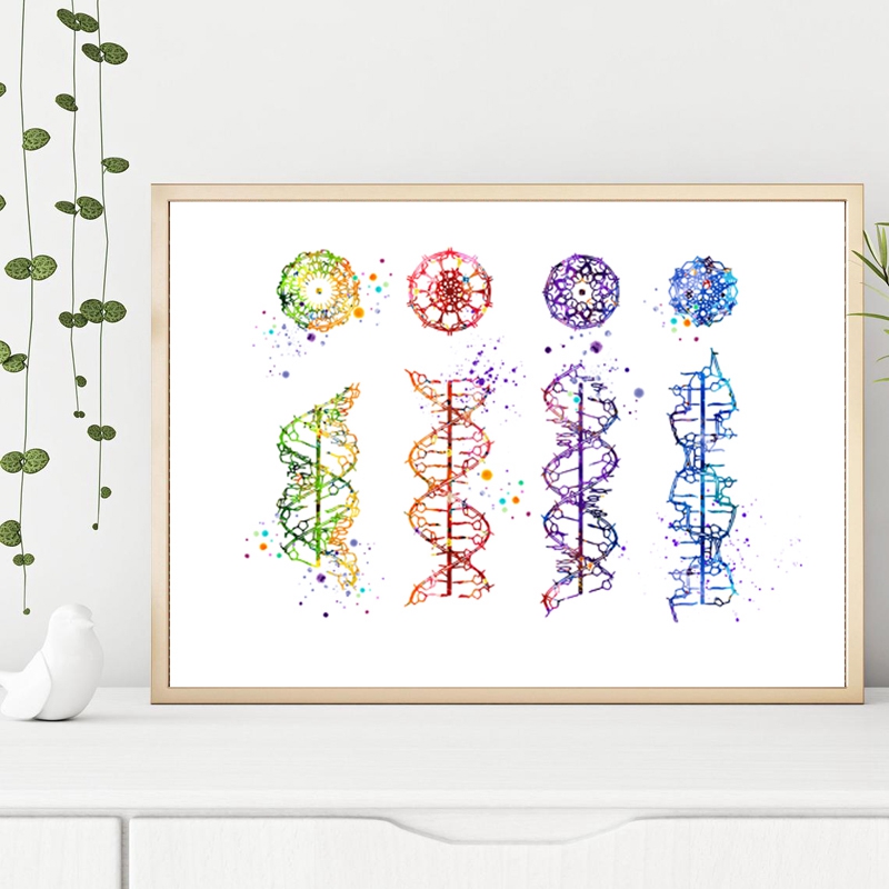 DNA Molecule Print Modern Medi – обзор и цена Medical Lab Posters
