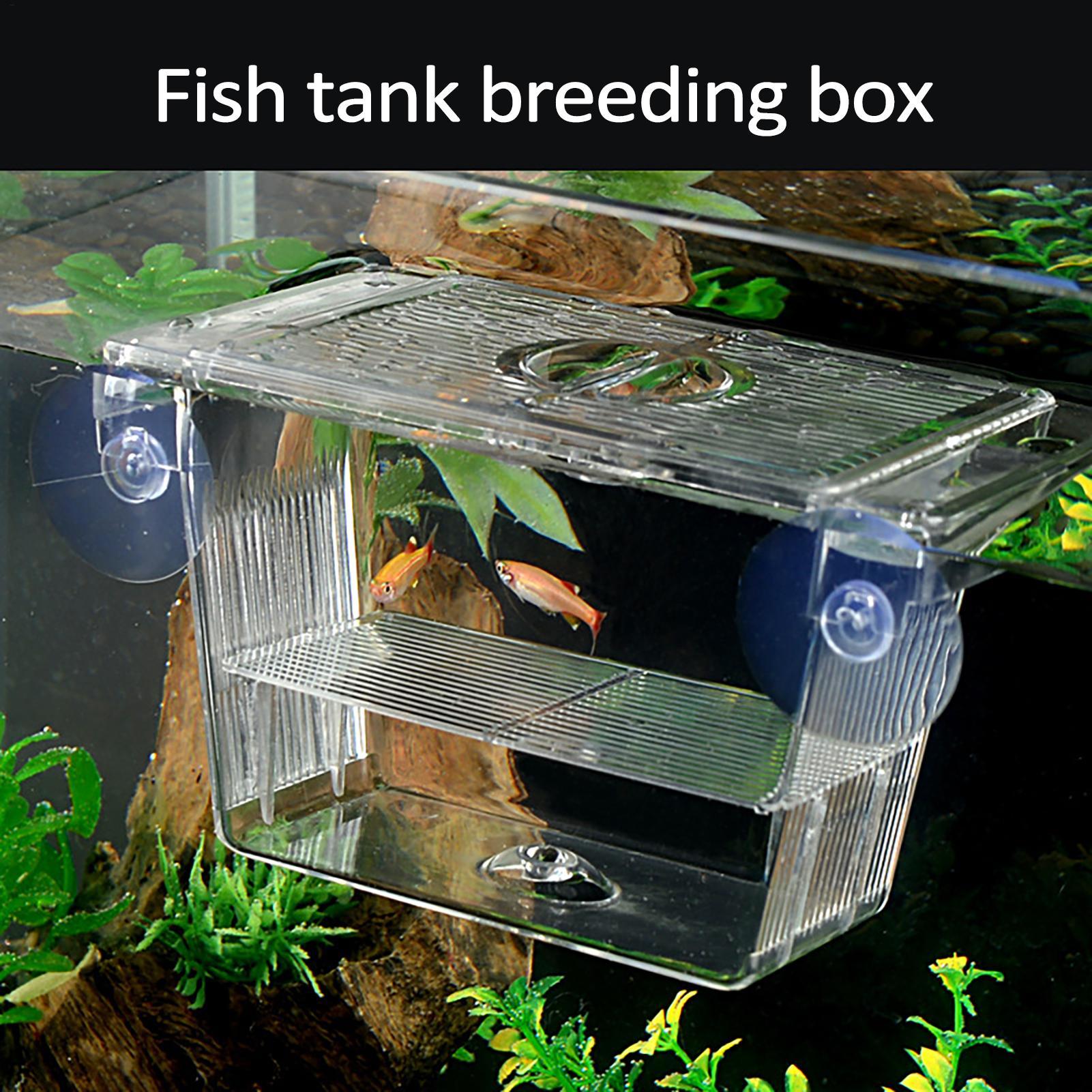 Breeder Box for Fish Tank Tran – обзор и цена Lab Incubator