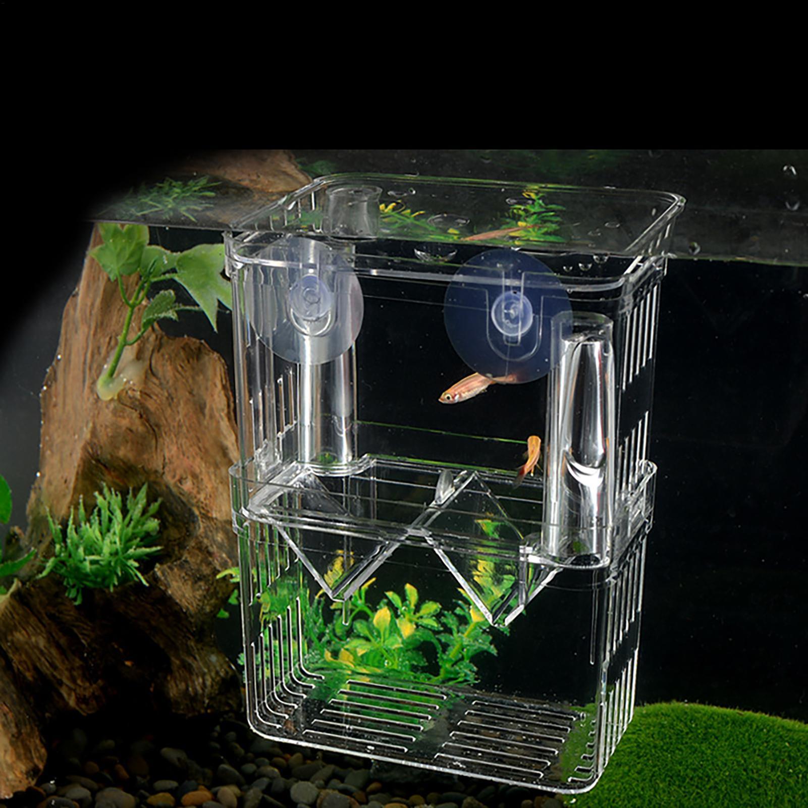 Breeder Box for Fish Tank Tran – обзор и цена Lab Incubator