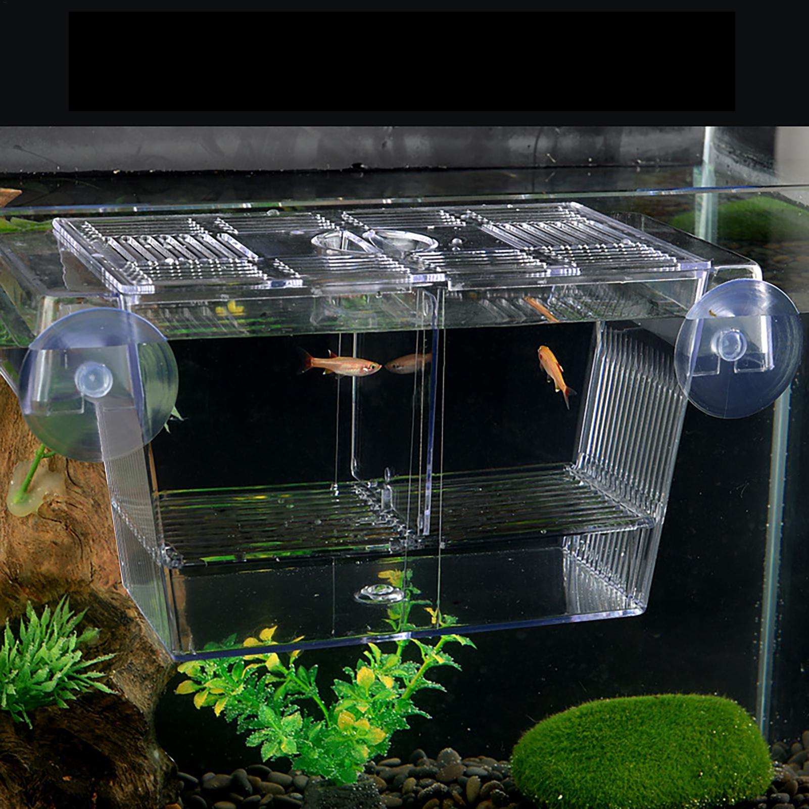 Breeder Box for Fish Tank Tran – обзор и цена Lab Incubator