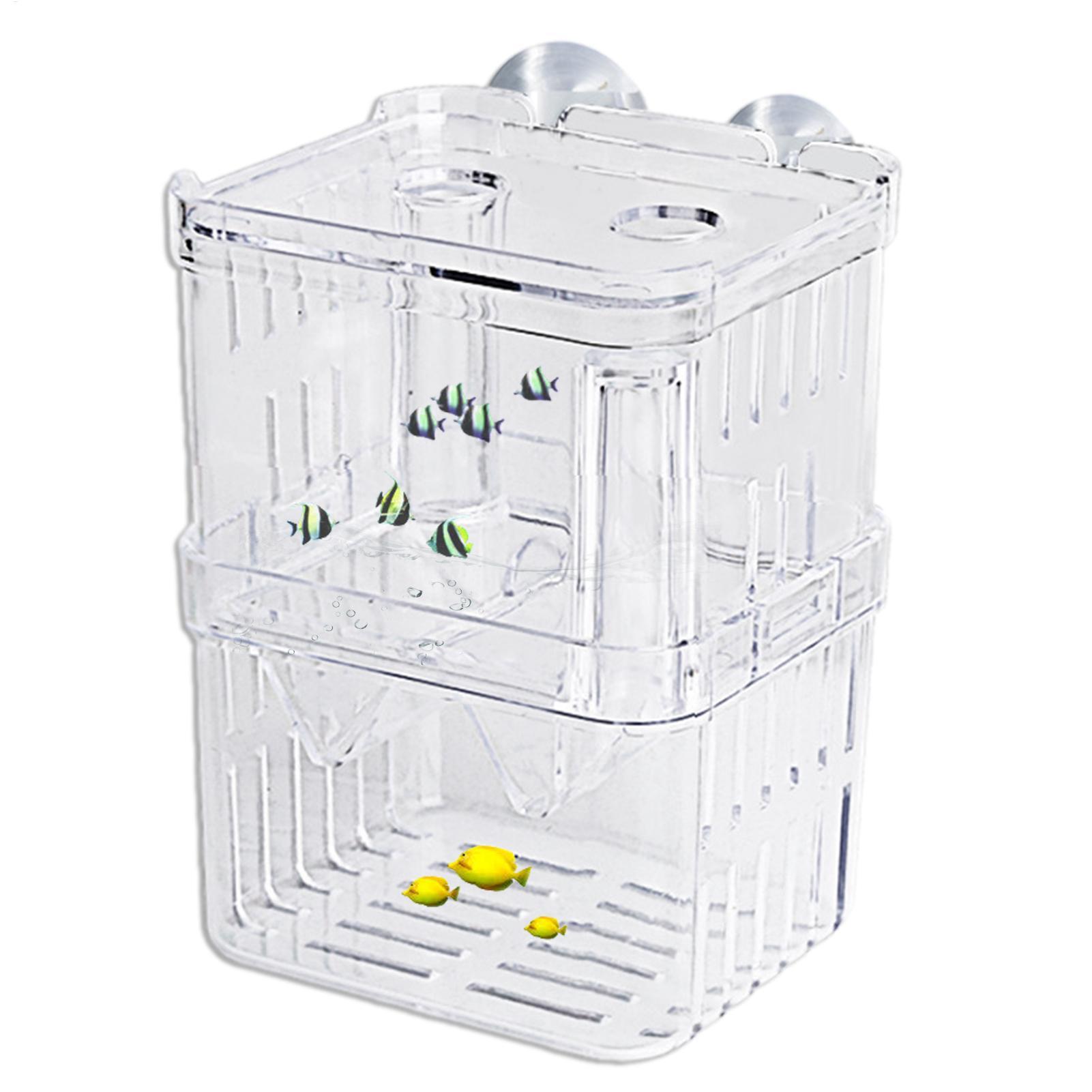 Breeder Box for Fish Tank Tran – обзор и цена Lab Incubator